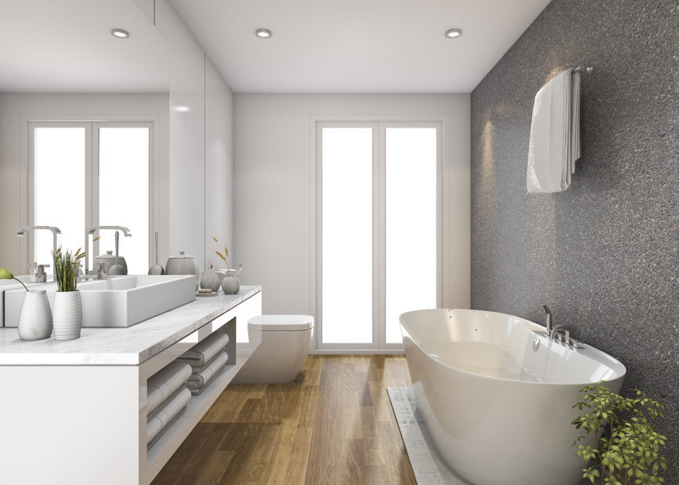 Bright modern residential bathroom with a double vanity and bathtub